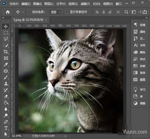 Adobe Photoshop 2022 v23.0.2.101 ACR14 中文一键安装破解版(附使用教程) X64