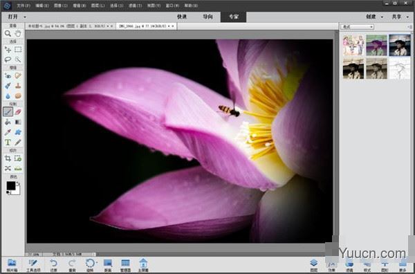 Adobe Photoshop Elements 2022 v20.0 中文一键安装破解版(附使用教程)