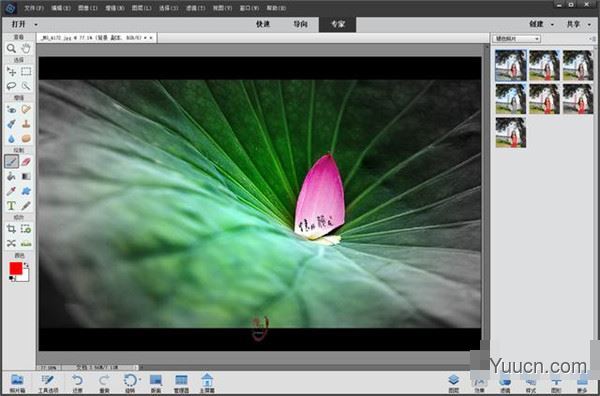 Adobe Photoshop Elements 2022 v20.0 中文一键安装破解版(附使用教程)