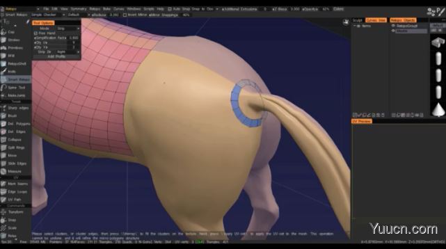 数字雕塑软件3D Coat V2021.62 中文安装激活版(附补丁+步骤) 64位