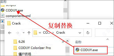 codijy colorizer pro图片上色软件 v4.0.0 破解安装版