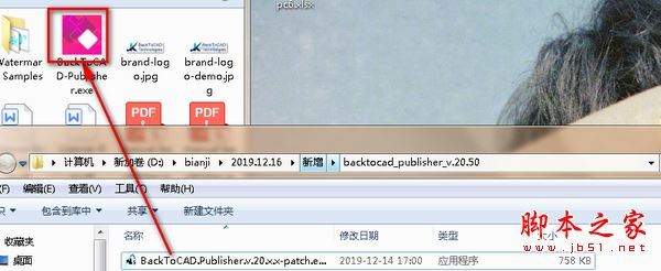 BackToCAD Publisher(CAD转换器) v20.50 64位 免费安装版