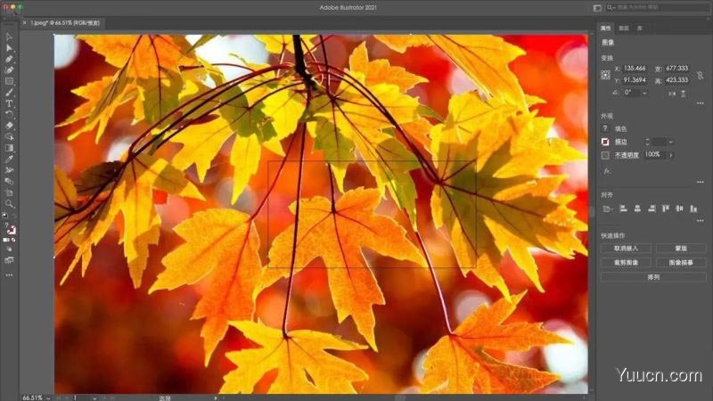 Adobe Illustrator(支持M1芯片) 2021 Mac v25.0.1.66 苹果电脑版