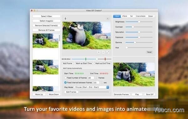 Video GIF Creator for Mac(视频/图片转换为GIF动图工具) V1.1 苹果电脑版