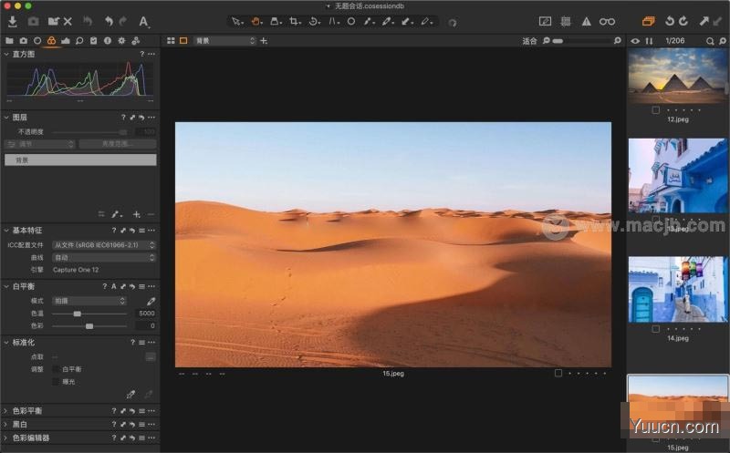 Capture One 21(RAW照片编辑转换器) Pro v14.4.0.135 安装破解版