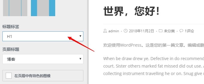 OceanWP修正文章页H1标签使用错误