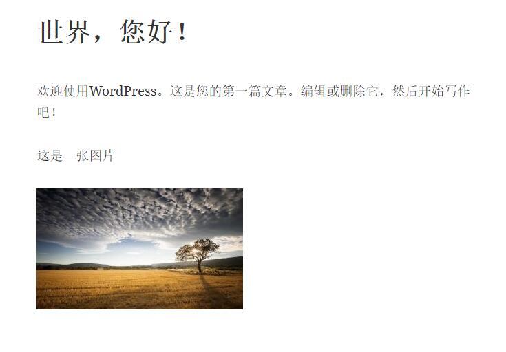 WordPress登录查看插件 Login to read more