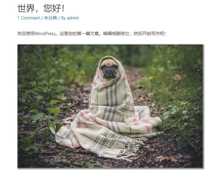 WP Image Borders 为WordPress所有图片添加边框和阴影