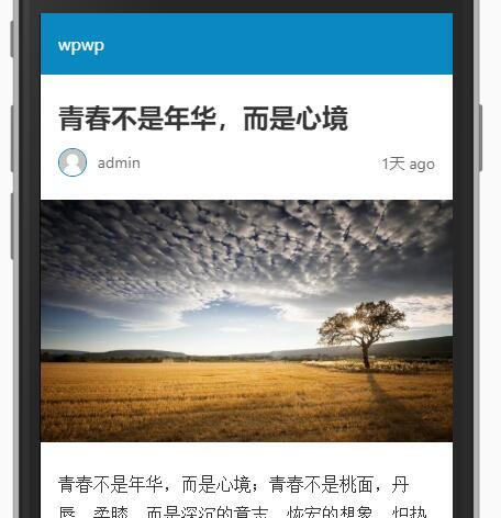 给WordPress开启AMP 加速移动网页