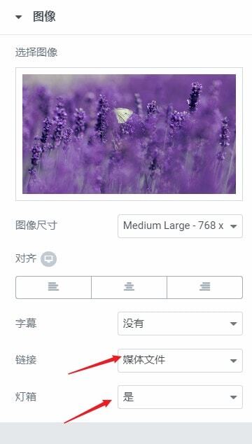 Elementor为图片与视频添加灯箱效果方法